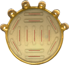 PlaquePlaqueTranslucent