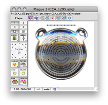 CCA_1295
