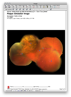 ImagesPage7