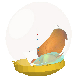 Setup3DDose